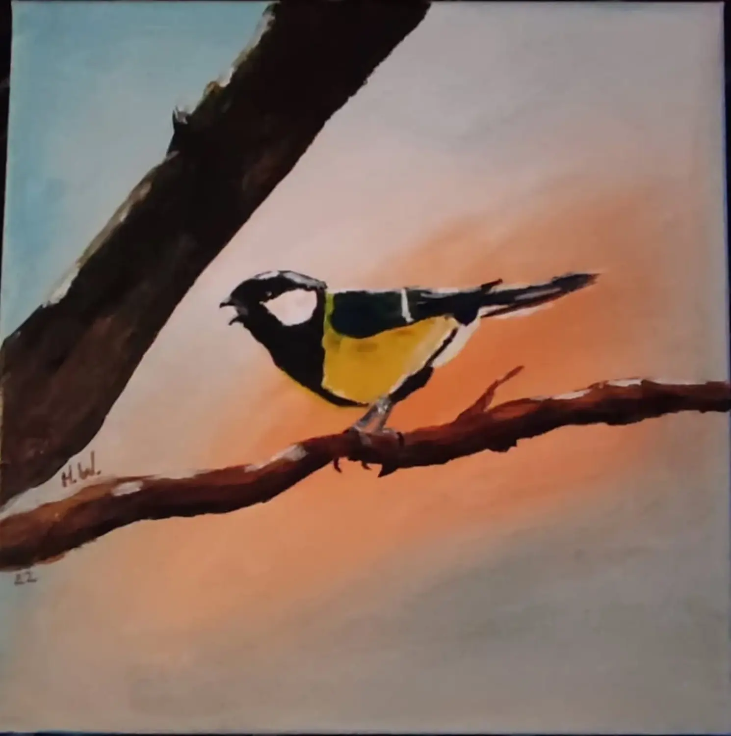 Heiko Wolf - Kohlmeise Kunst