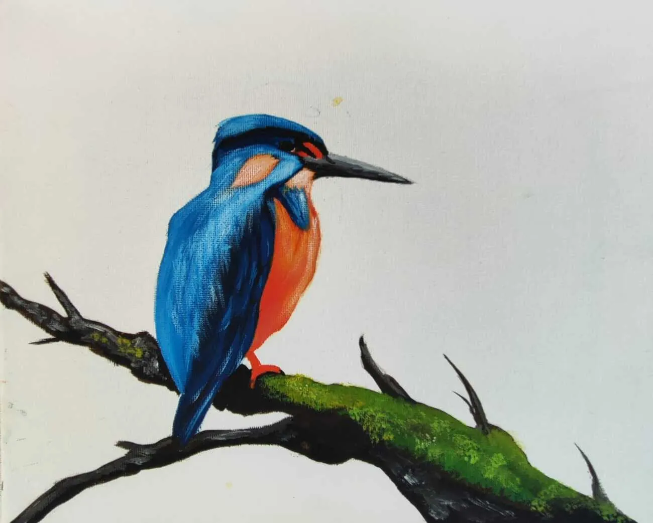 Heiko Wolf - Vogel in seinen Hell-Dunkel-Kontrasten, einzelne Federdetails werden hervorgehoben